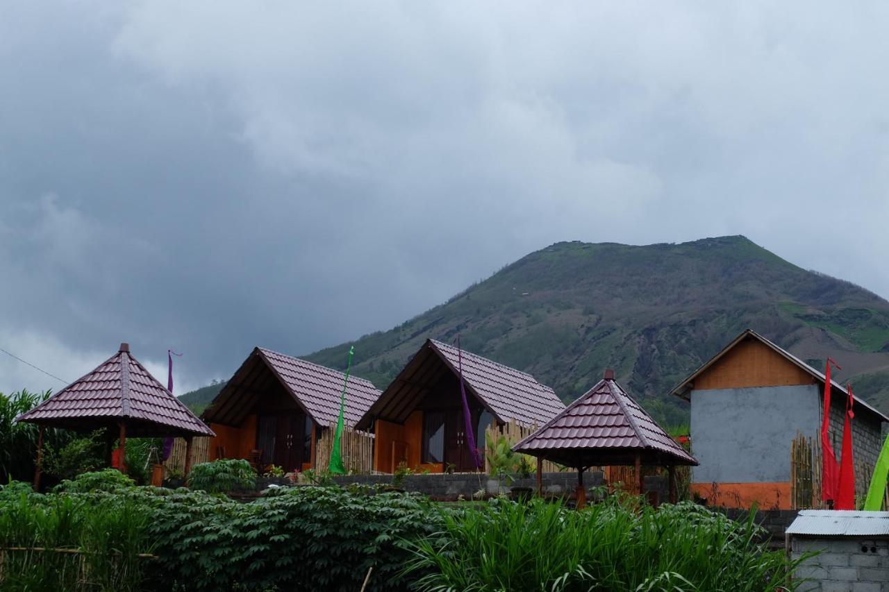 Bukit Catu Bungalows Кинтамани Экстерьер фото